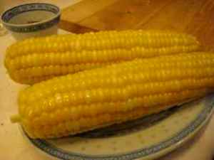 fresh corn on the cob! 